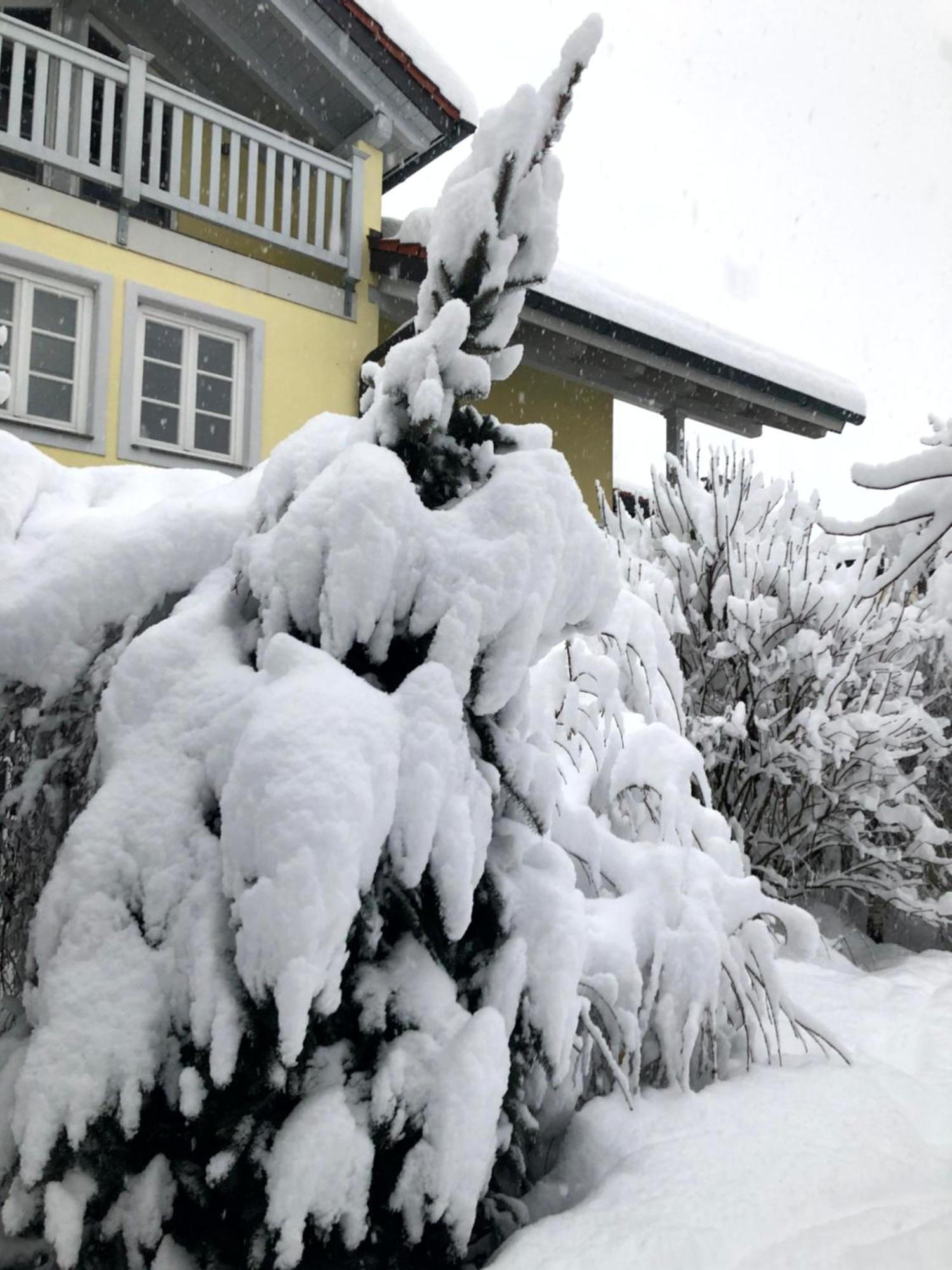 Eggstaett-hartsee Apartment *
